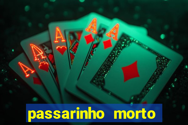 passarinho morto significado espiritual